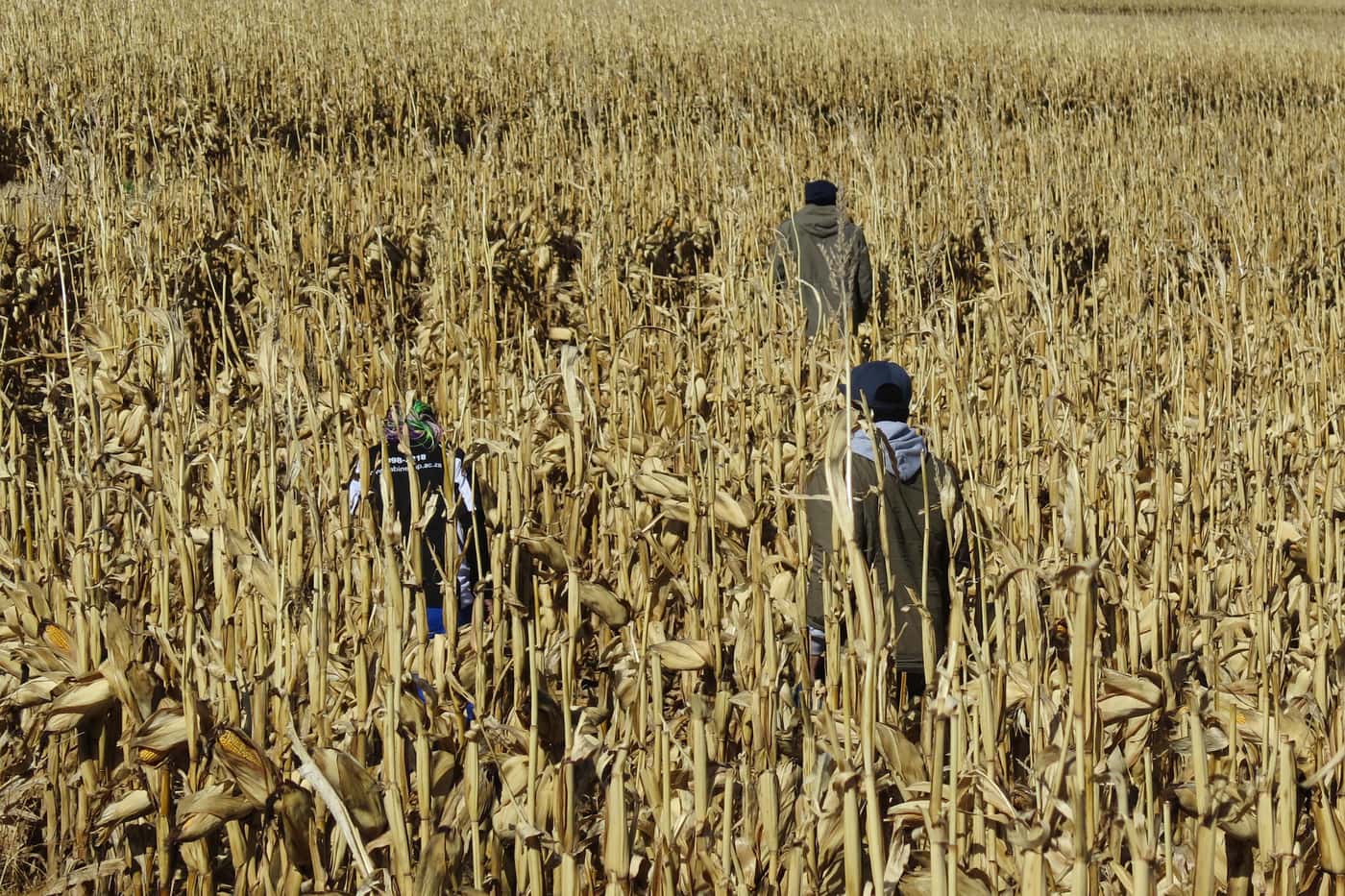 Grain Research Programme field trip to the Eastern Cape