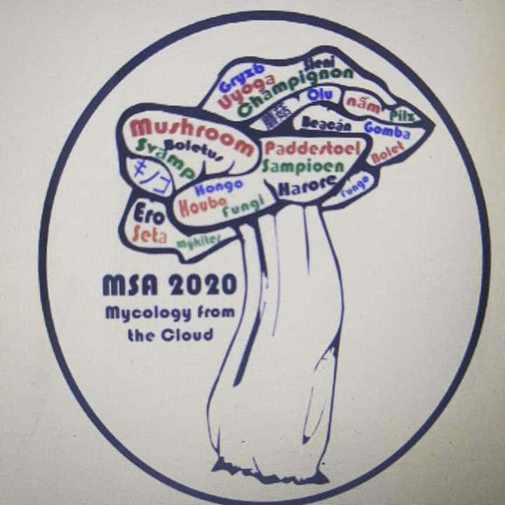 FABI mycologists participate in the annual MSA meeting: Mycology in the cloud