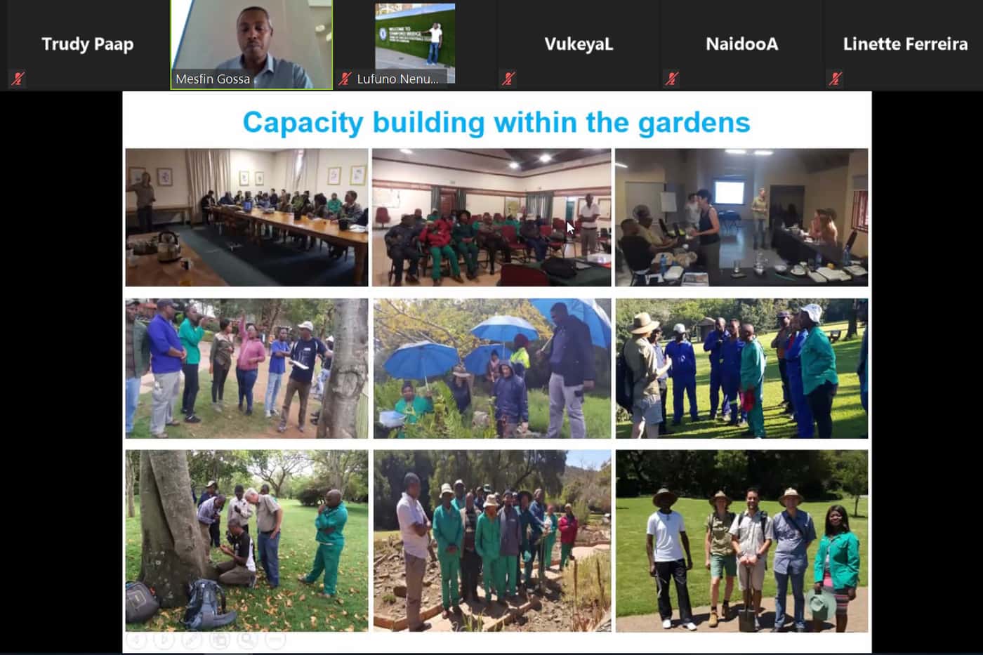 A webinar on Plant Health in Botanical Gardens amid the COVID-19 pandemic