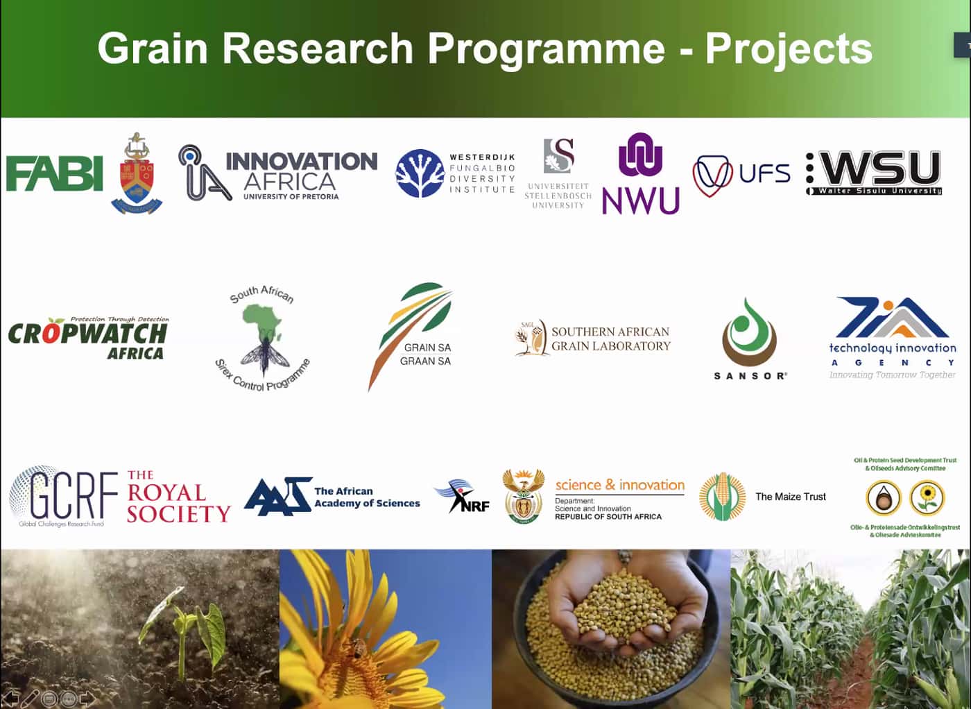 FABI launches its multi-disciplinary Grain Research Programme