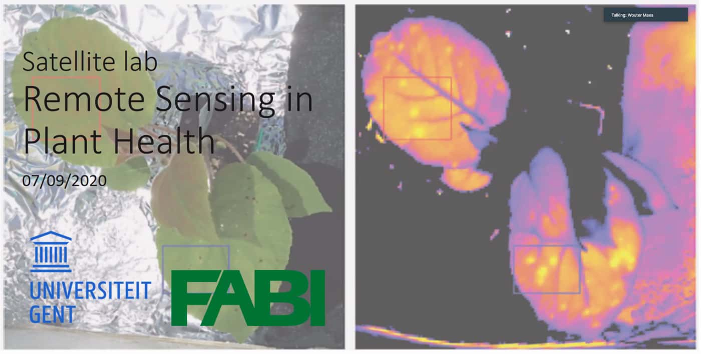 FABI advances plant health research in Africa with the launch of two satellite laboratories