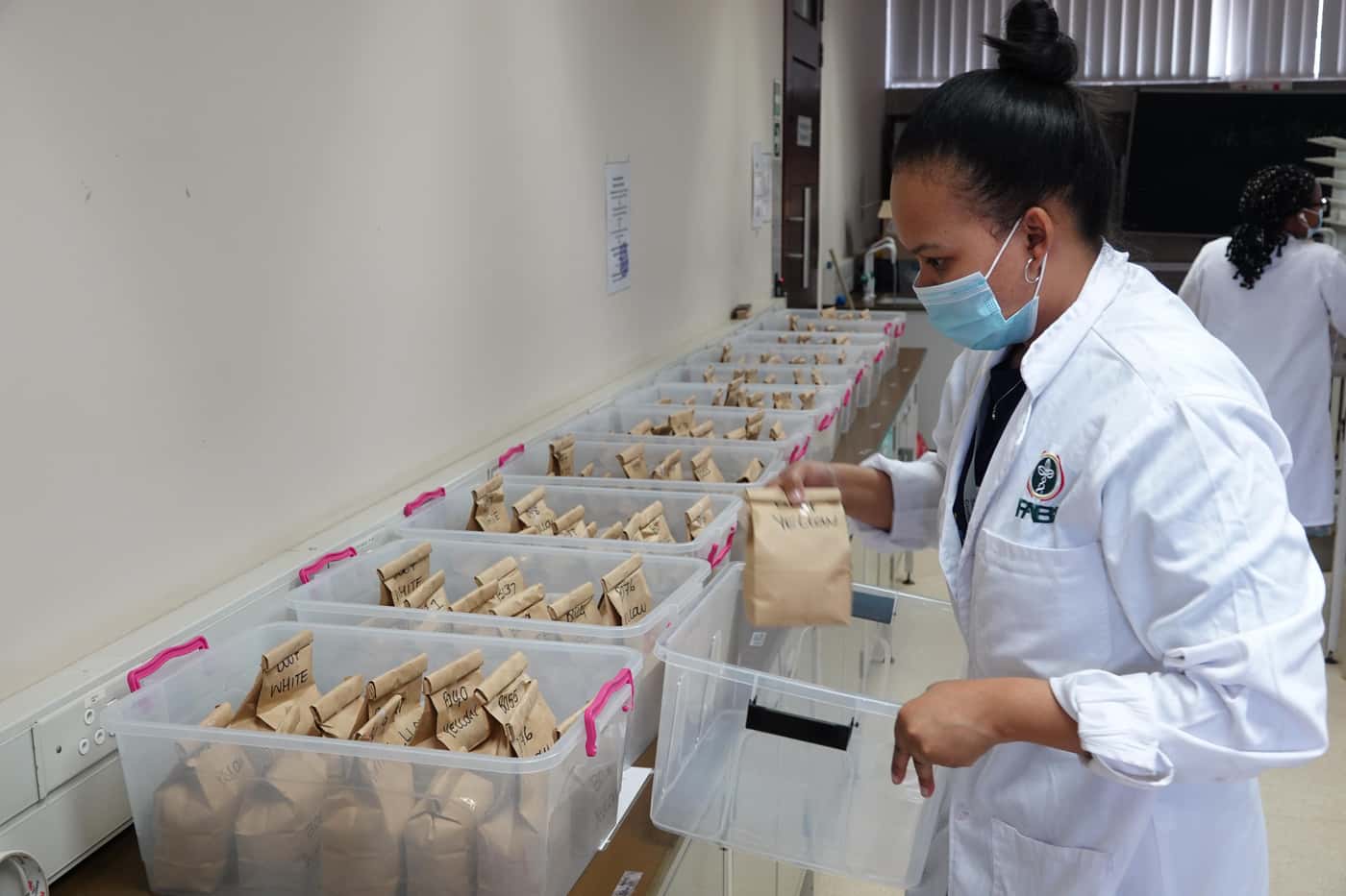 National Maize Cultivar Evaluation Trials seed packing at FABI