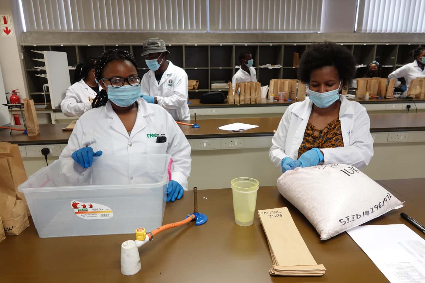 National Maize Cultivar Evaluation Trials seed packing at FABI