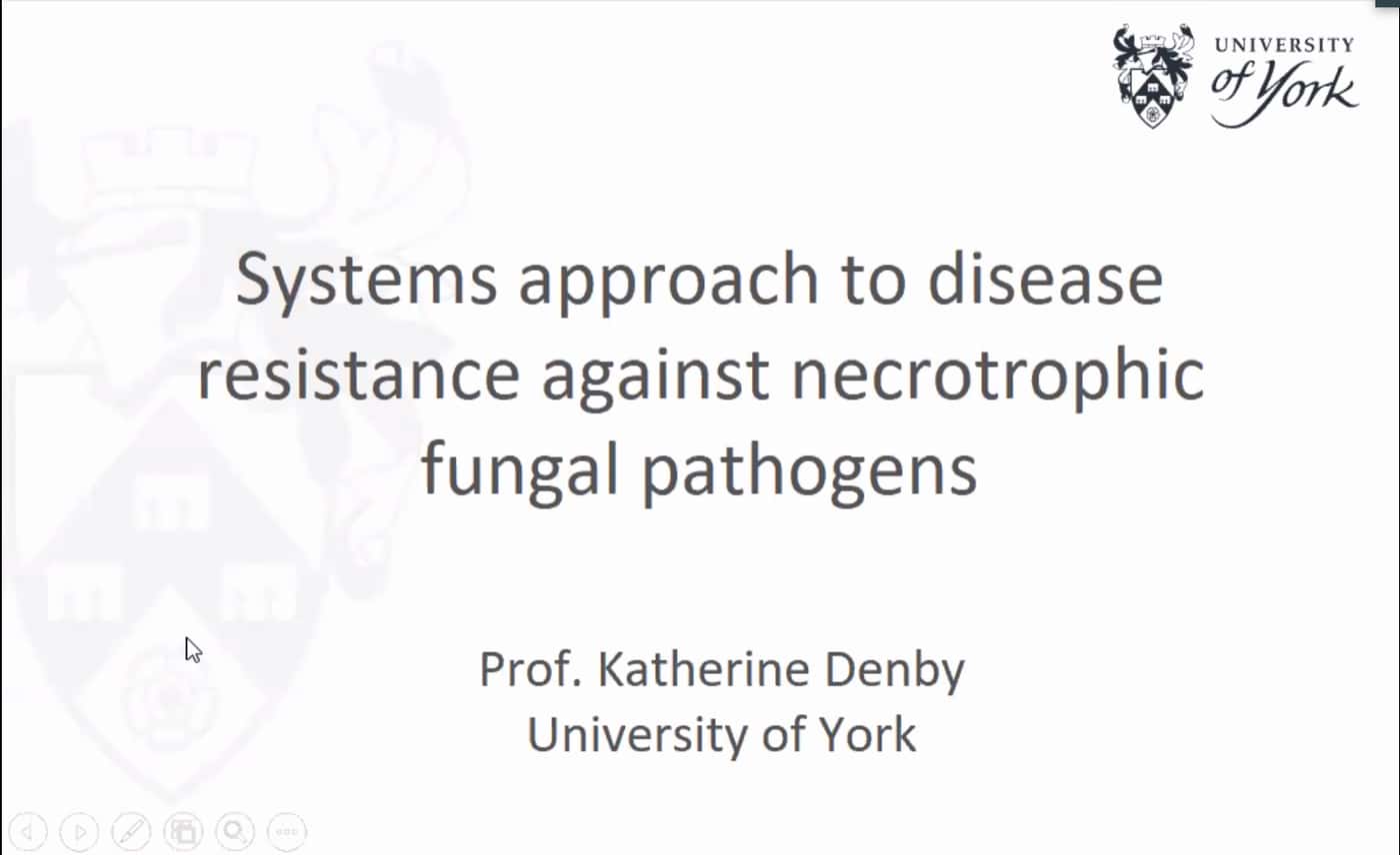 Fifth FABI International Seminar explores disease resistance against necrotrophic fungal pathogens