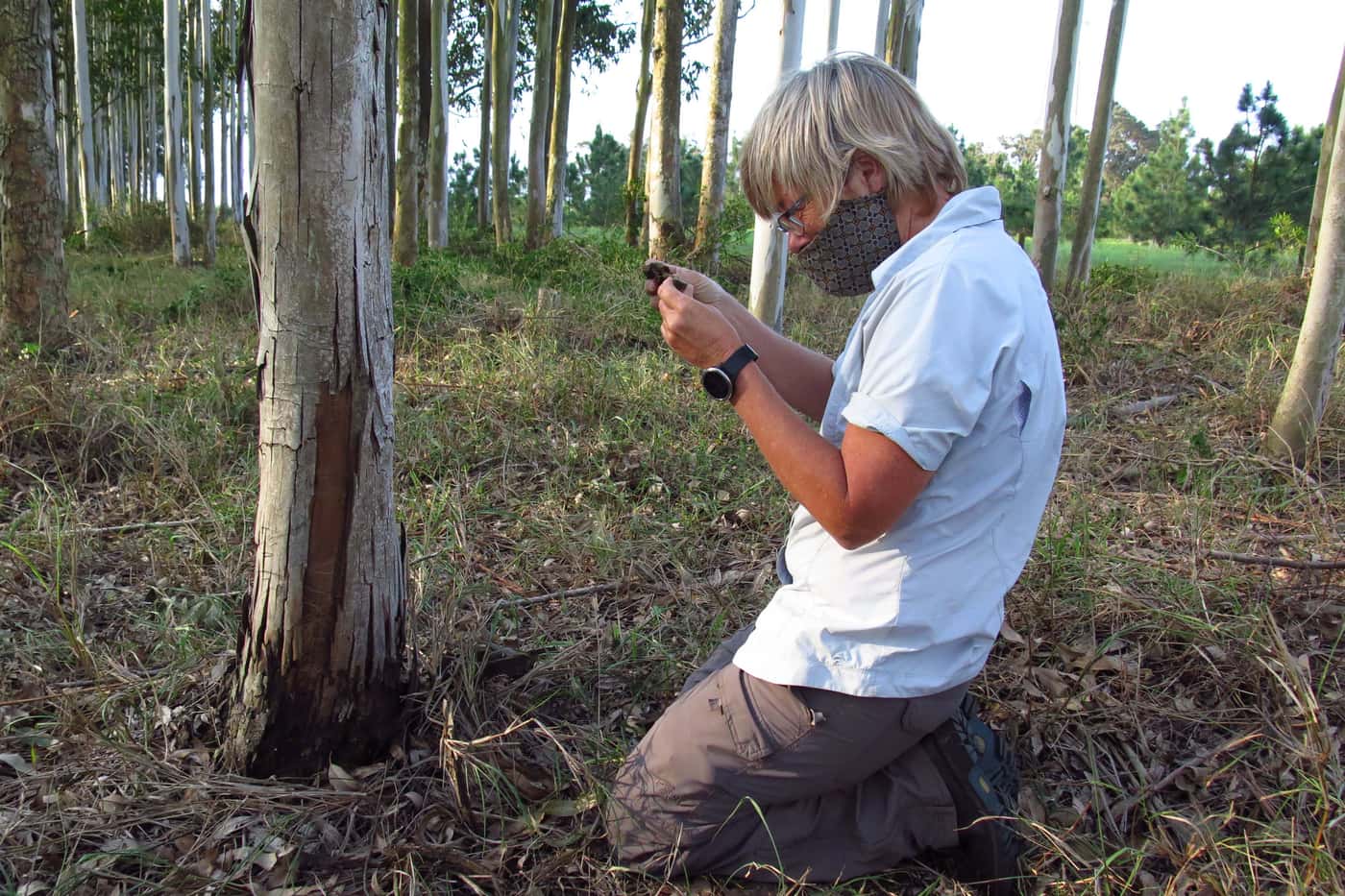 TPCP team members visit plantations on the KZN coast