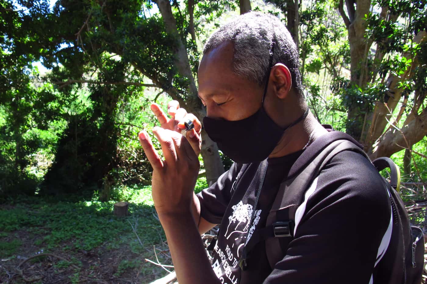 Inspection of invasive disease and pest problems in SANBI's Cape gardens