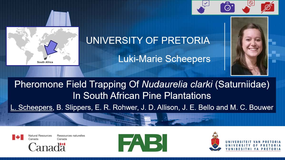 FABI PhD student presents at Entomology 2020