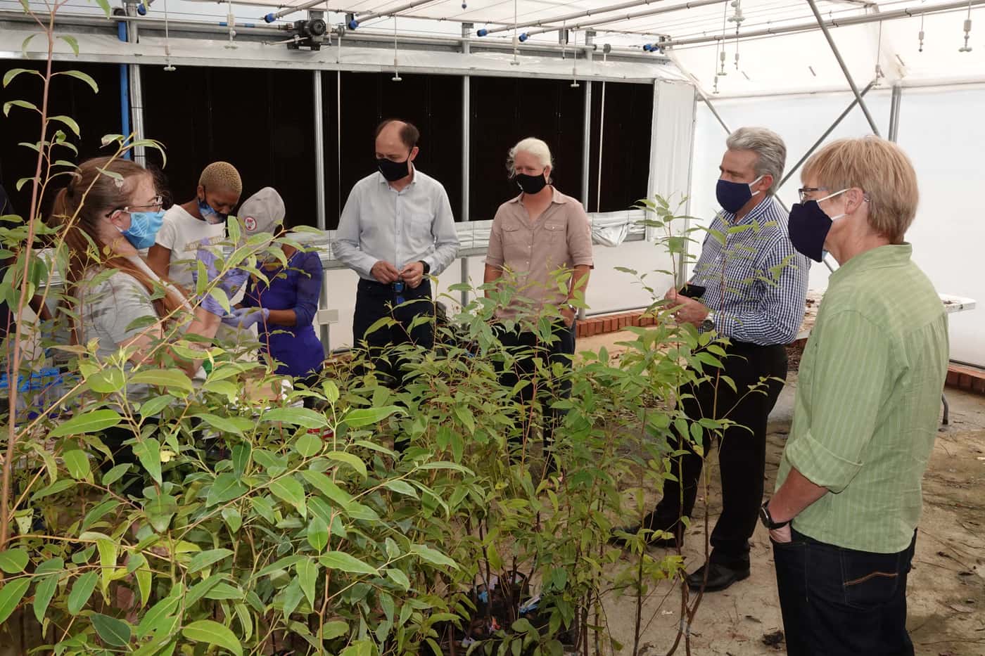 Recently-appointed Sappi Vice President visits FABI
