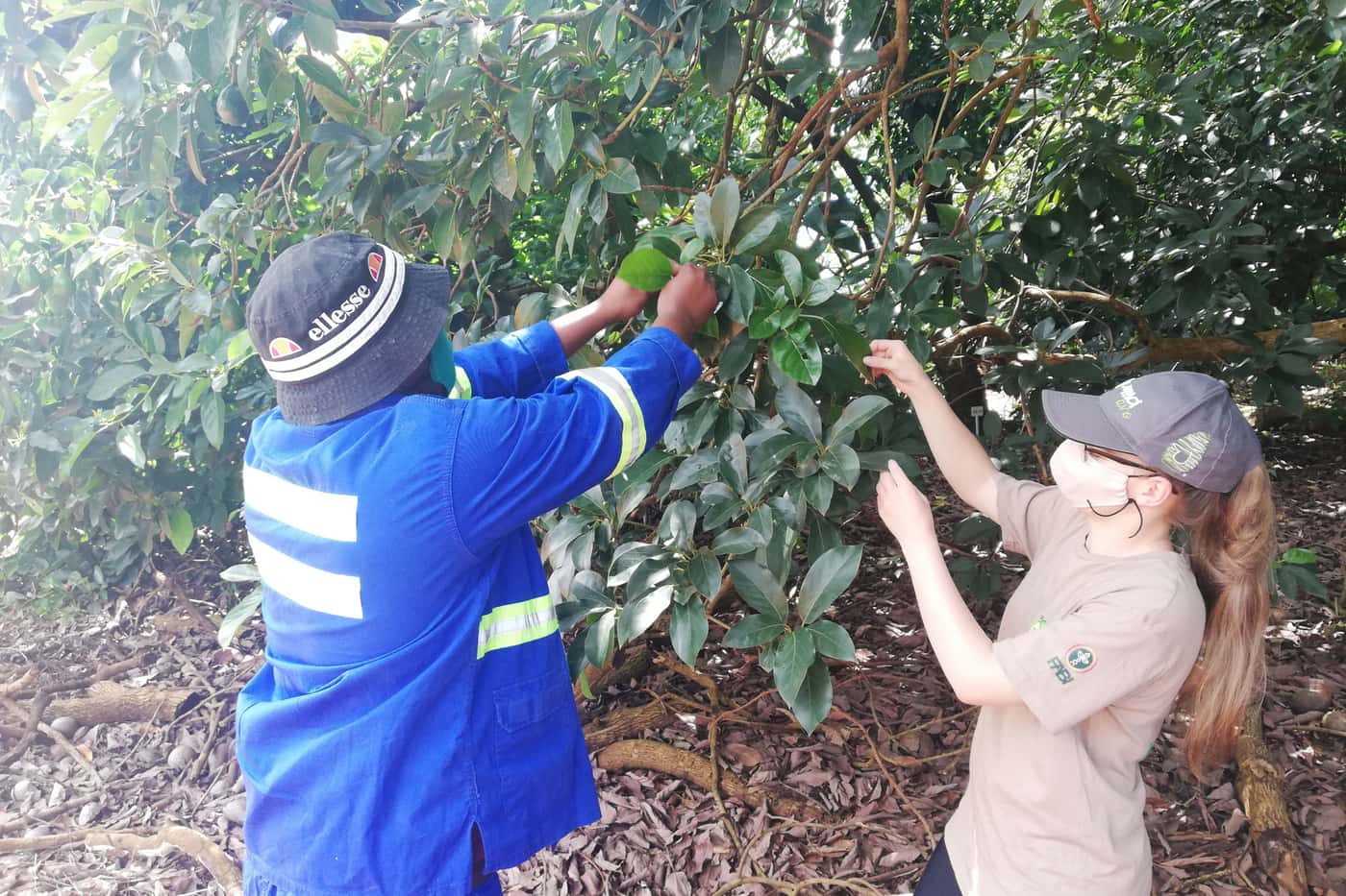 ARP team members visit Tzaneen