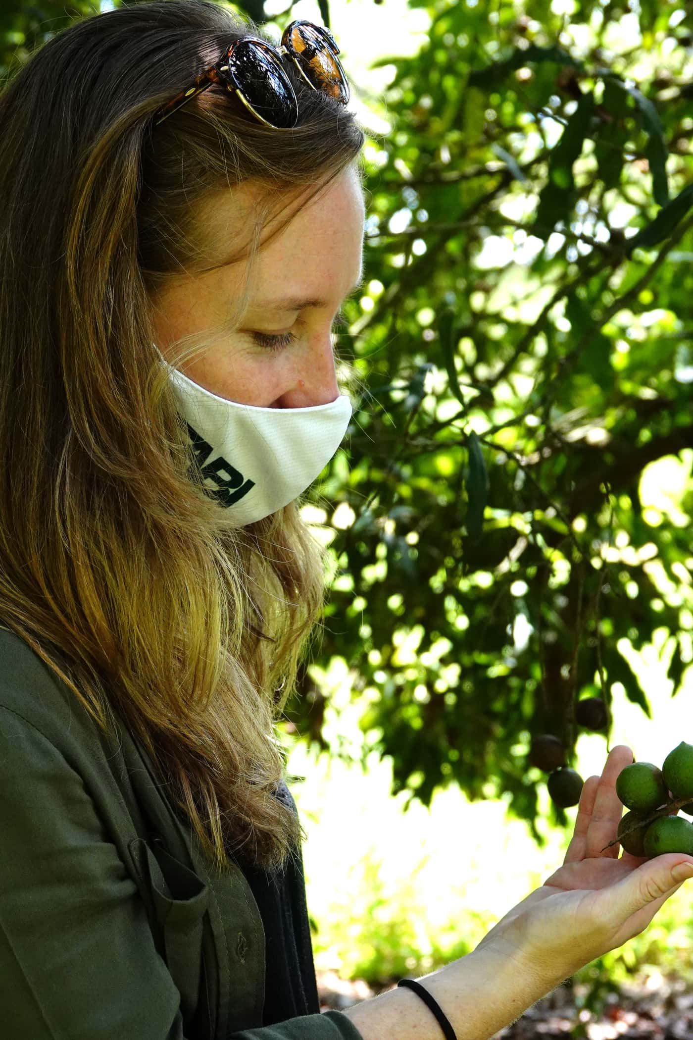 Macadamia research program’s field visit to Mpumalanga