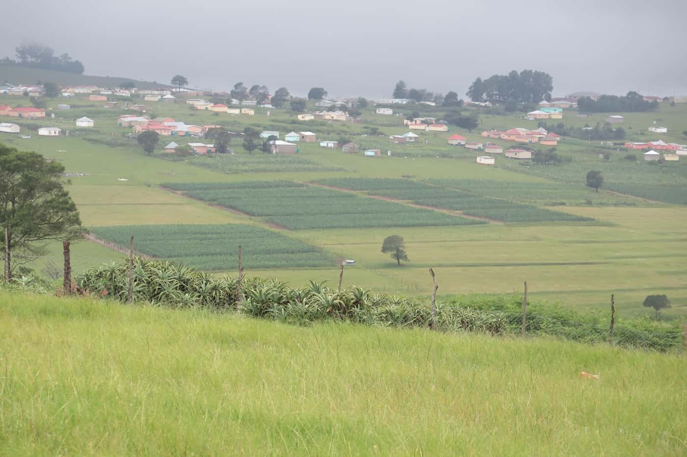 GRP team visits farms in the Eastern Cape and KZN