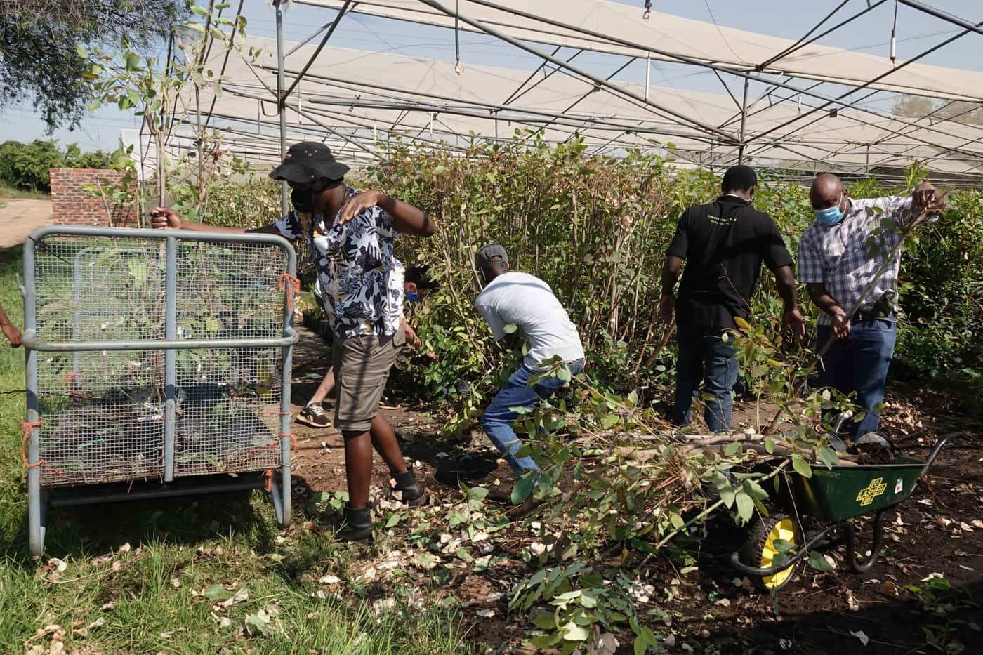 Many hands make light work at the TPCP tree planting