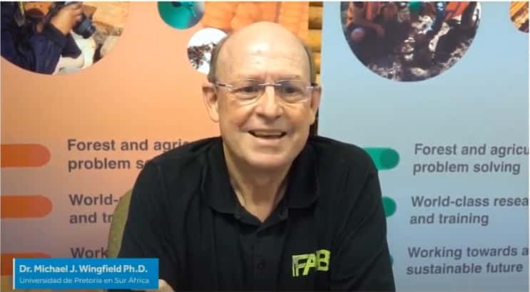 Online launch of forestry pests and diseases book
