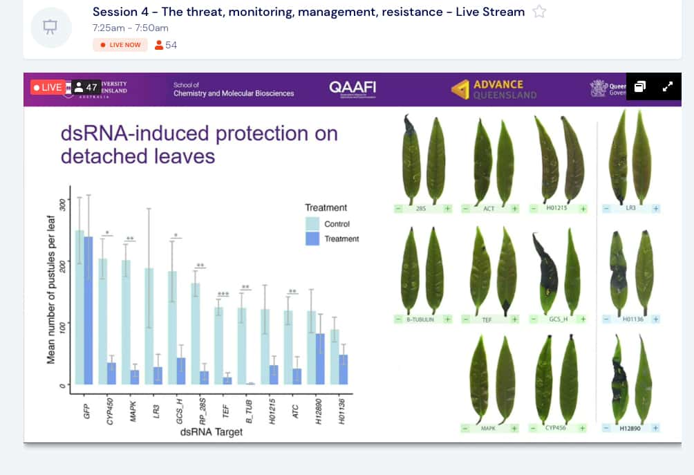 Mike Wingfield participates in the Australian Myrtle Rust Symposium