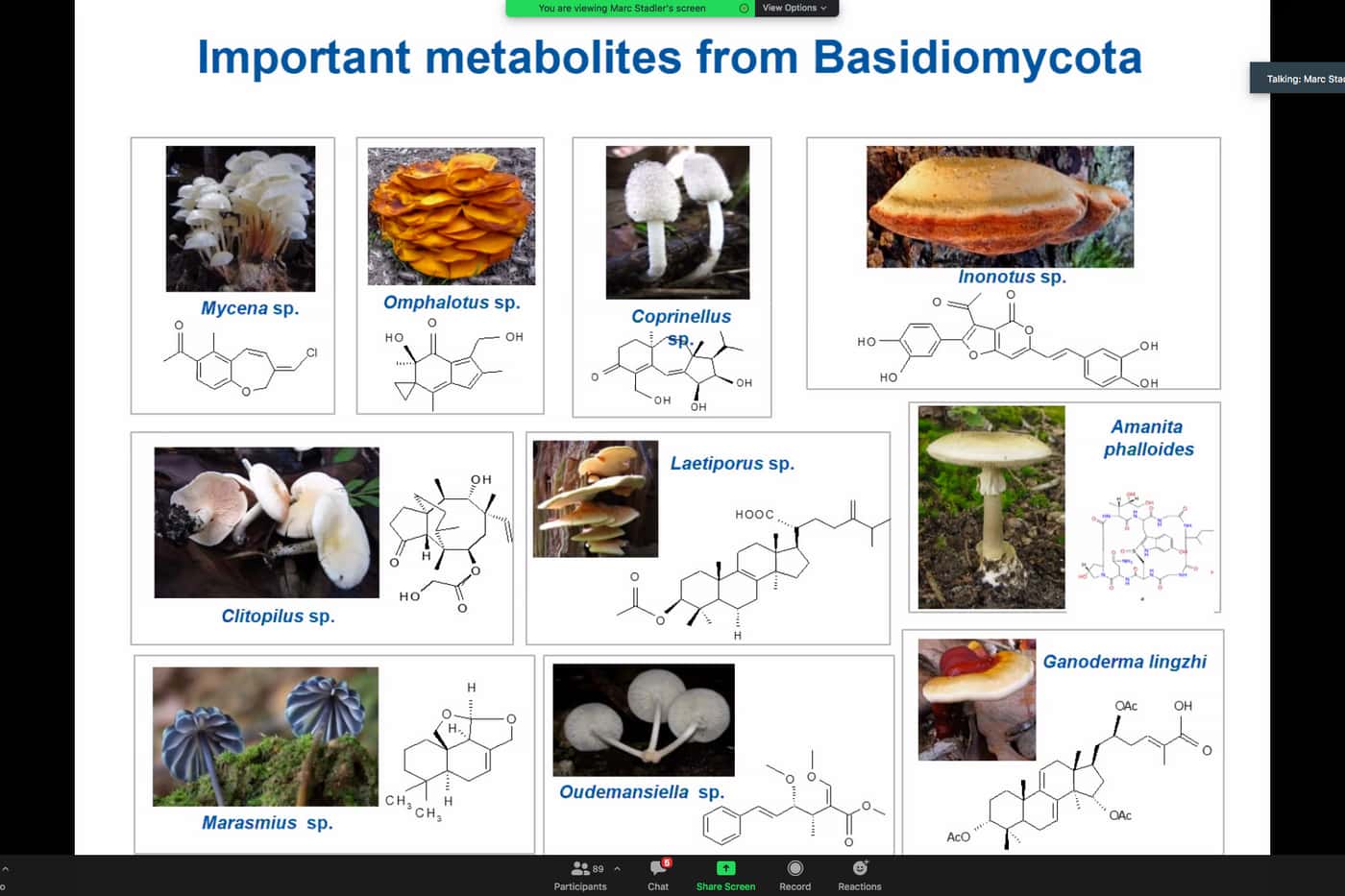Discovering biologically-active fungal metabolites from unexplored species