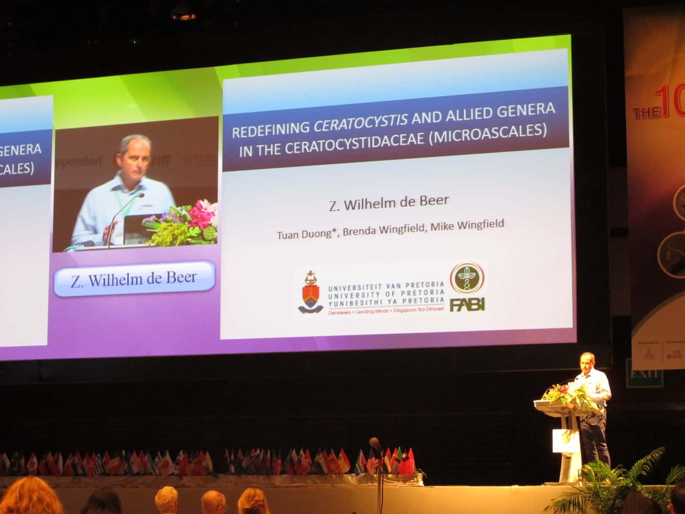 More news from IMC10