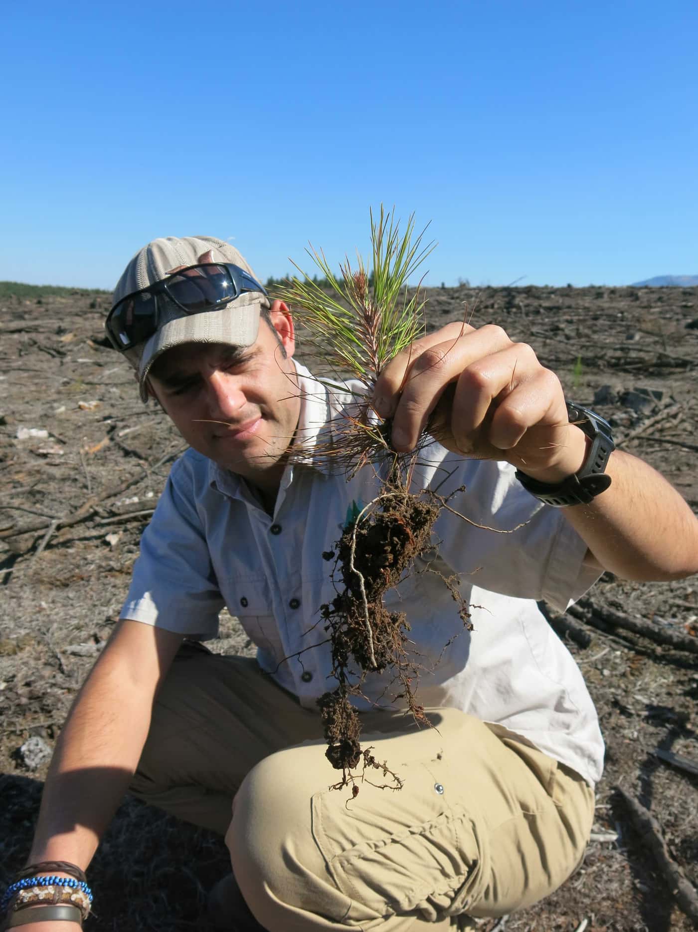 Pictures speak 1000 words about plant health