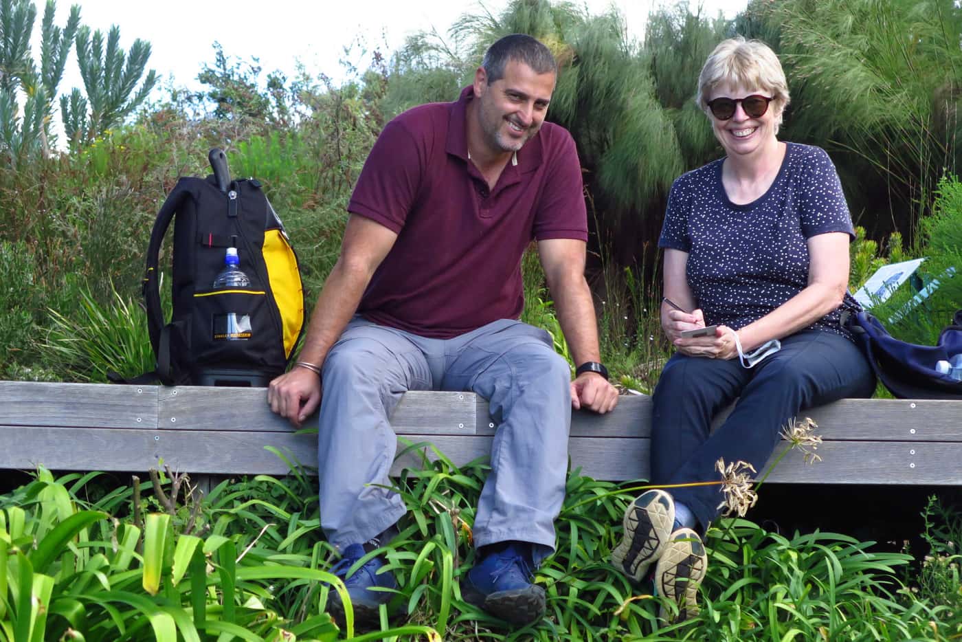 FABI team considers research progress on Phytophthora die-back of Silver trees in Kirstenbosch