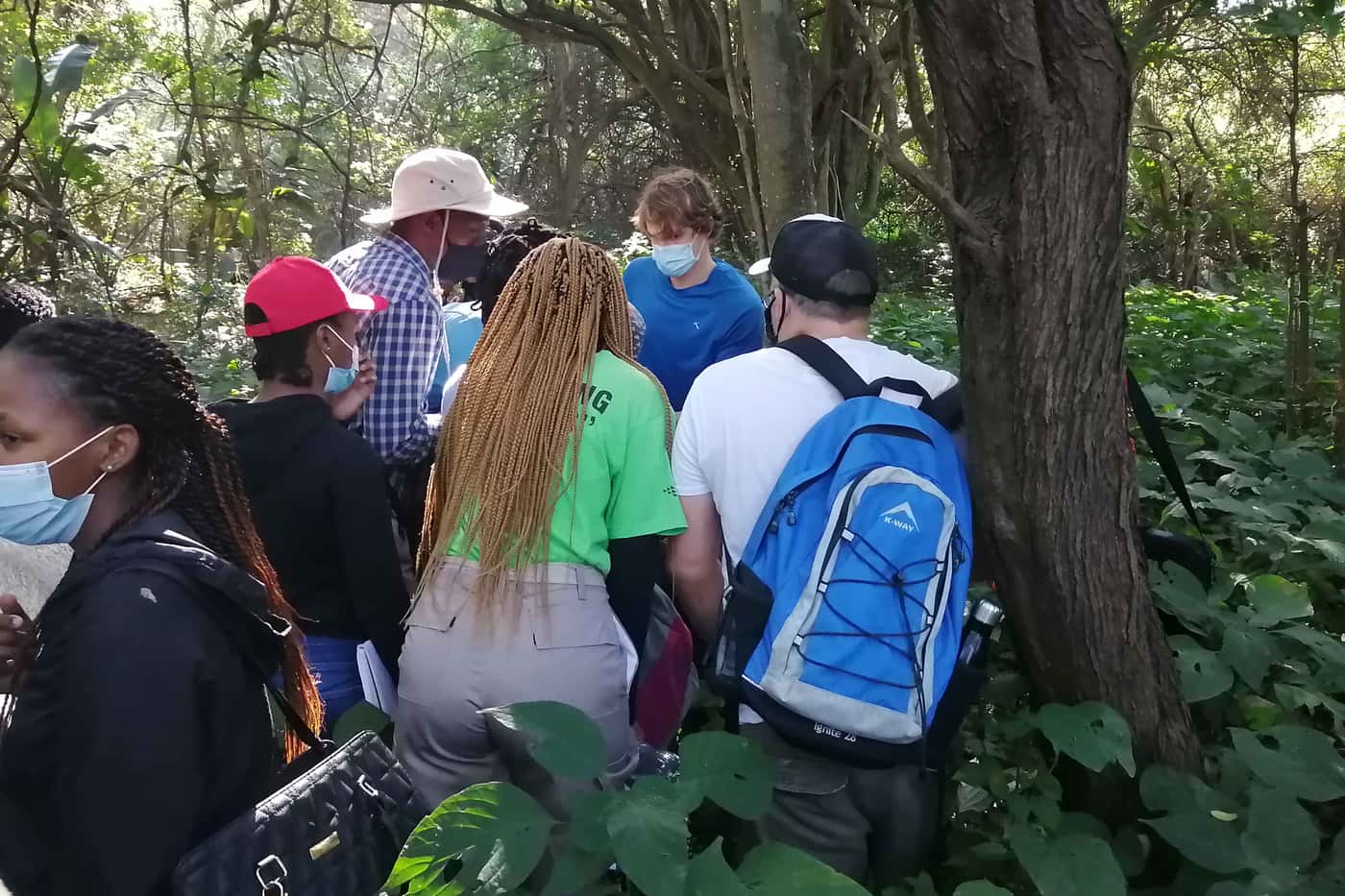 SANBI Sentinel Plant Project hosts a training workshop for DUT horticulture students