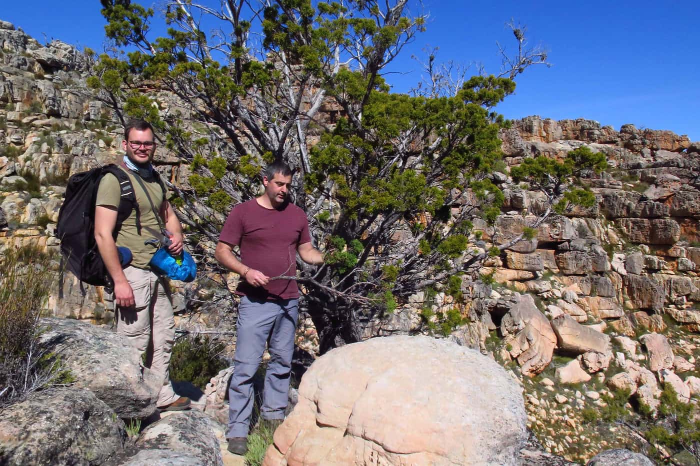 FABI team returns to the Cederberg for sampling