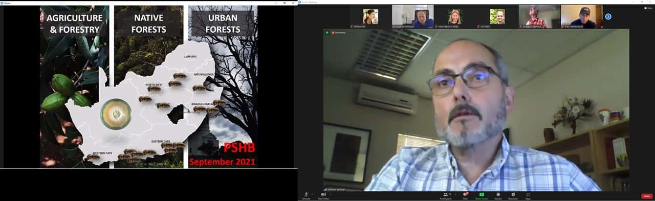 Twelfth Online meeting of the bark beetle mycobiome International Research Coordination Network