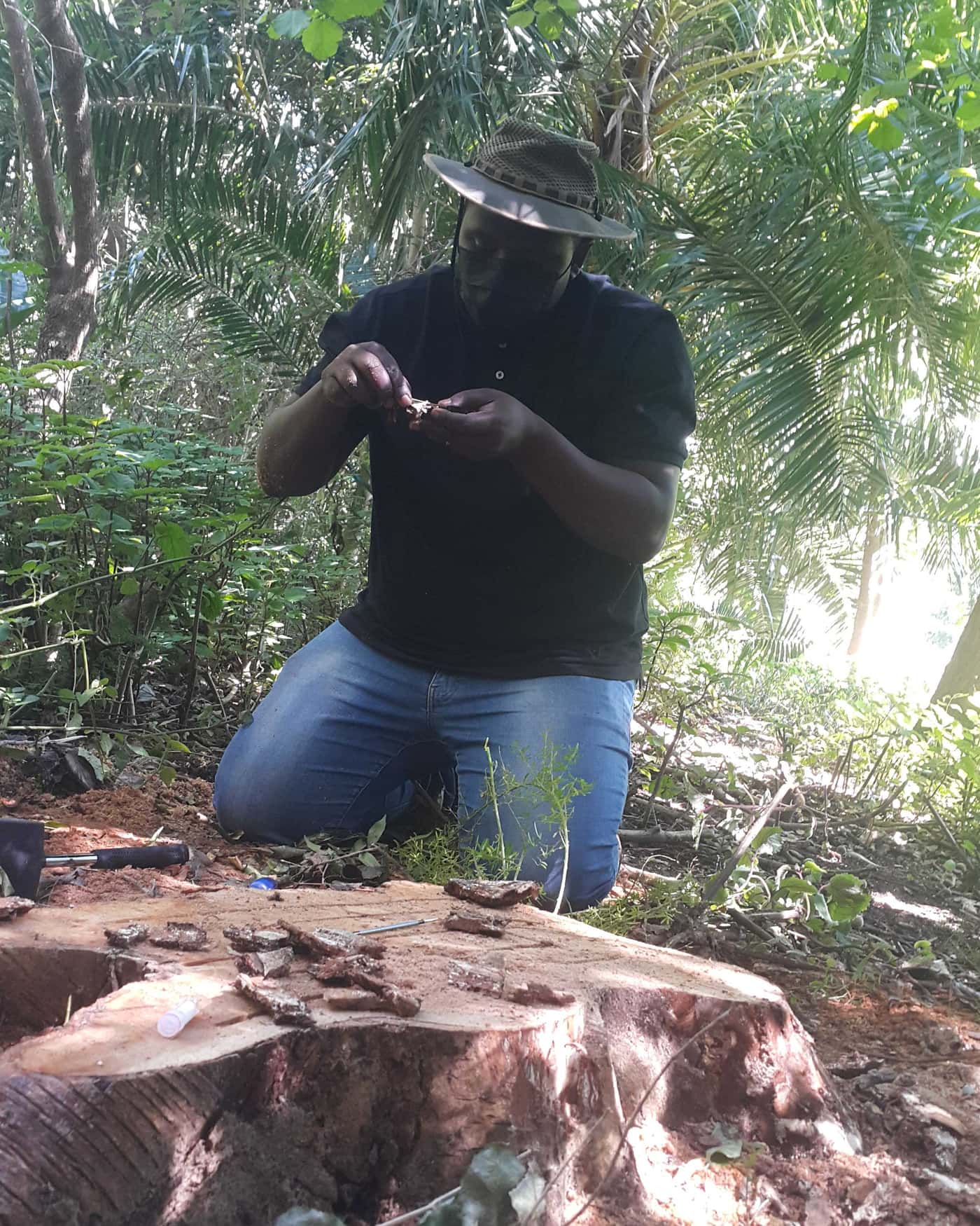 Assessment of plant health in the Cape botanical gardens