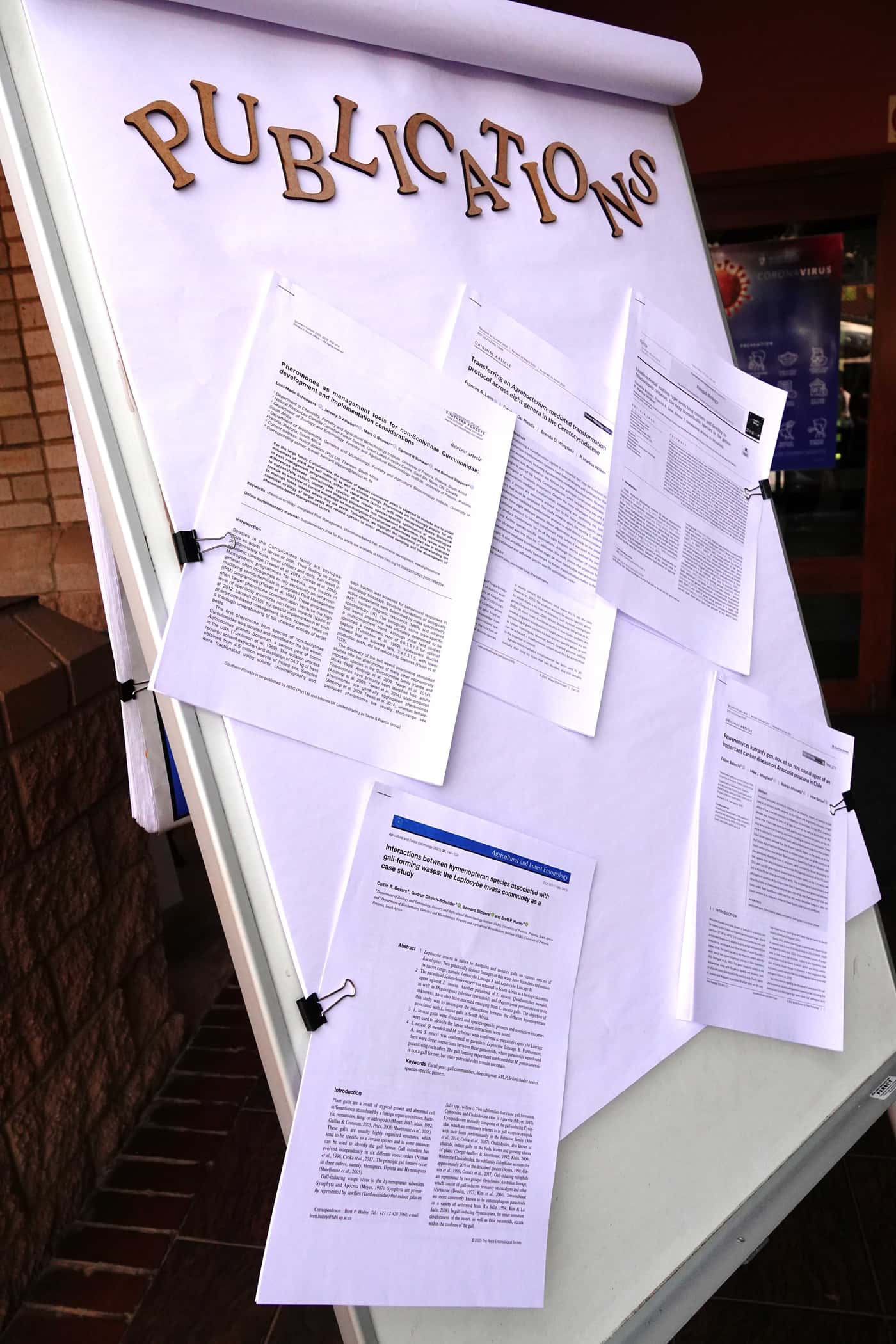 Publication Party celebrates student achievements