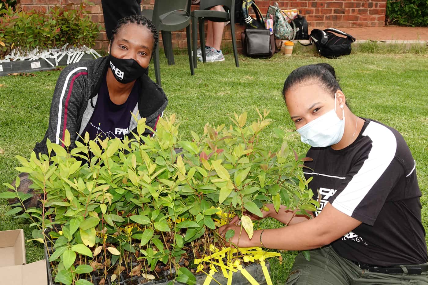 Tree planting brings the year to a close