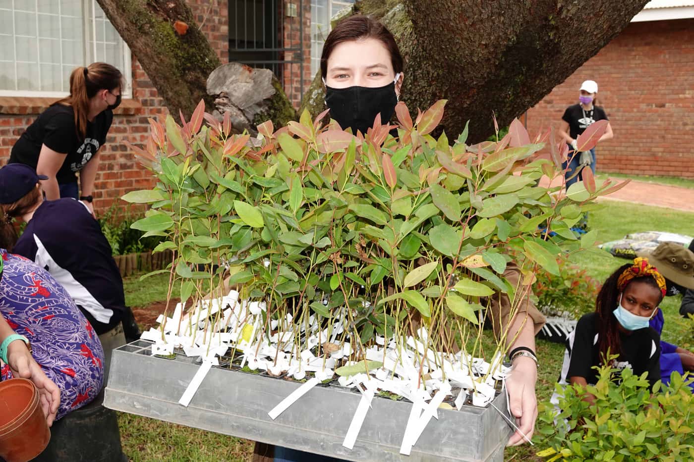 Tree planting brings the year to a close