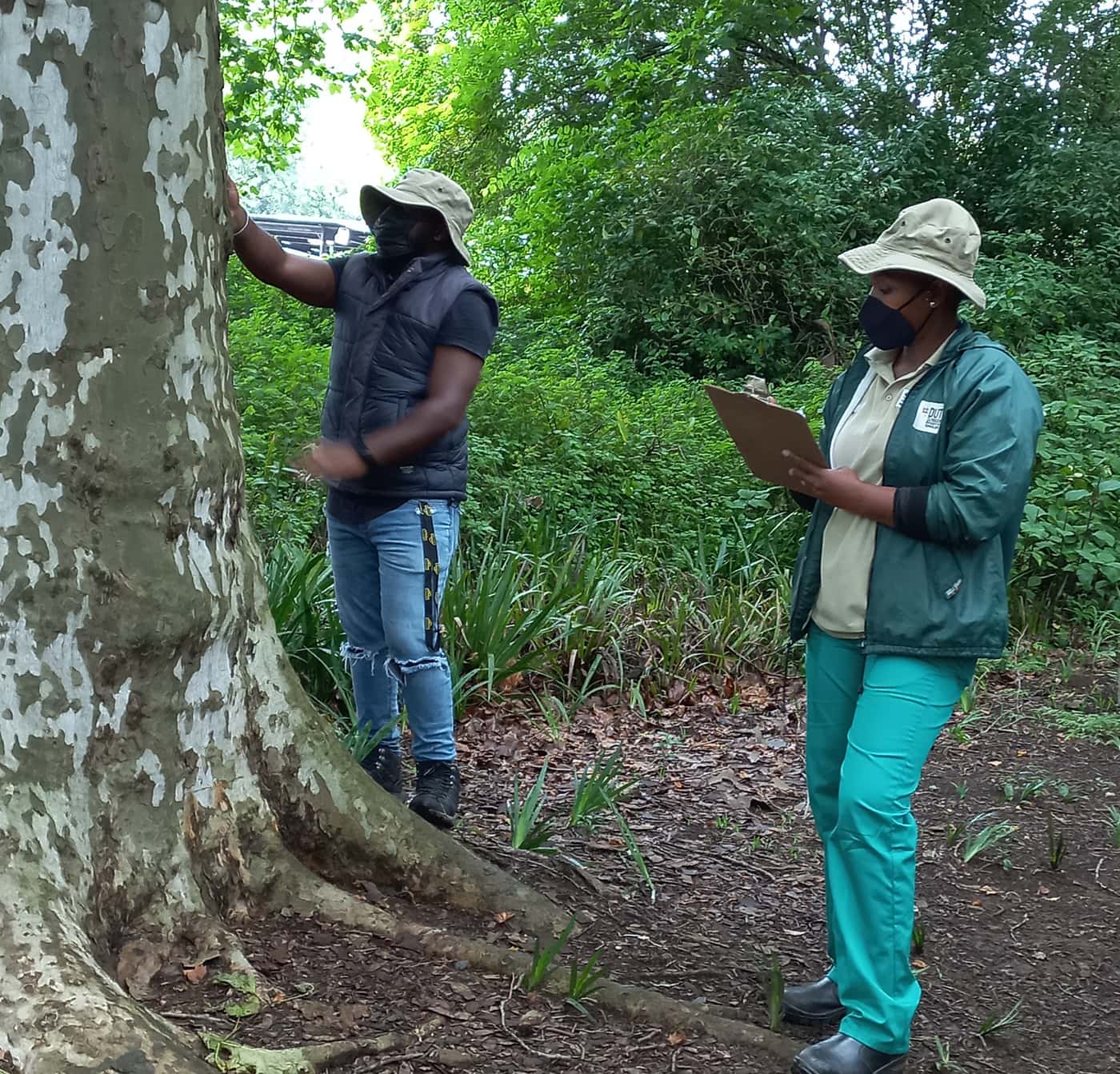 SANBI-funded Sentinel Plant Project establishes a PSHB monitoring system at the KZN National Botanic
