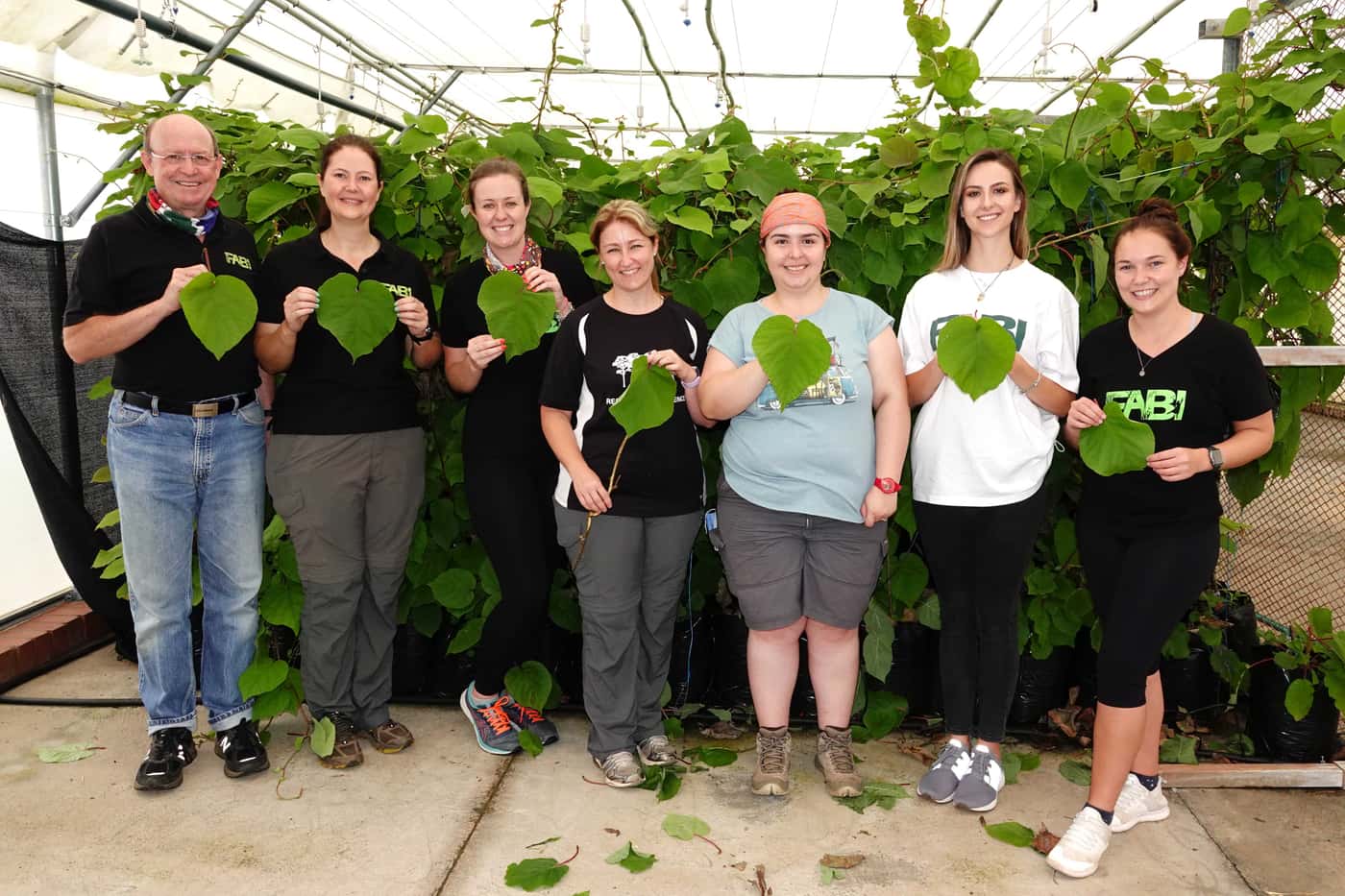In pursuit of tolerance to Ceratocystis wilt on Kiwi