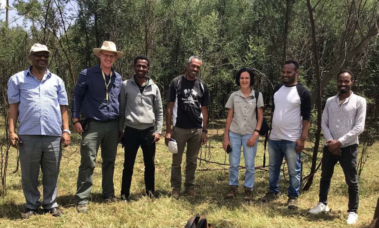 Survey of wattle pests and pathogens in Awi Zone, Ethiopia
