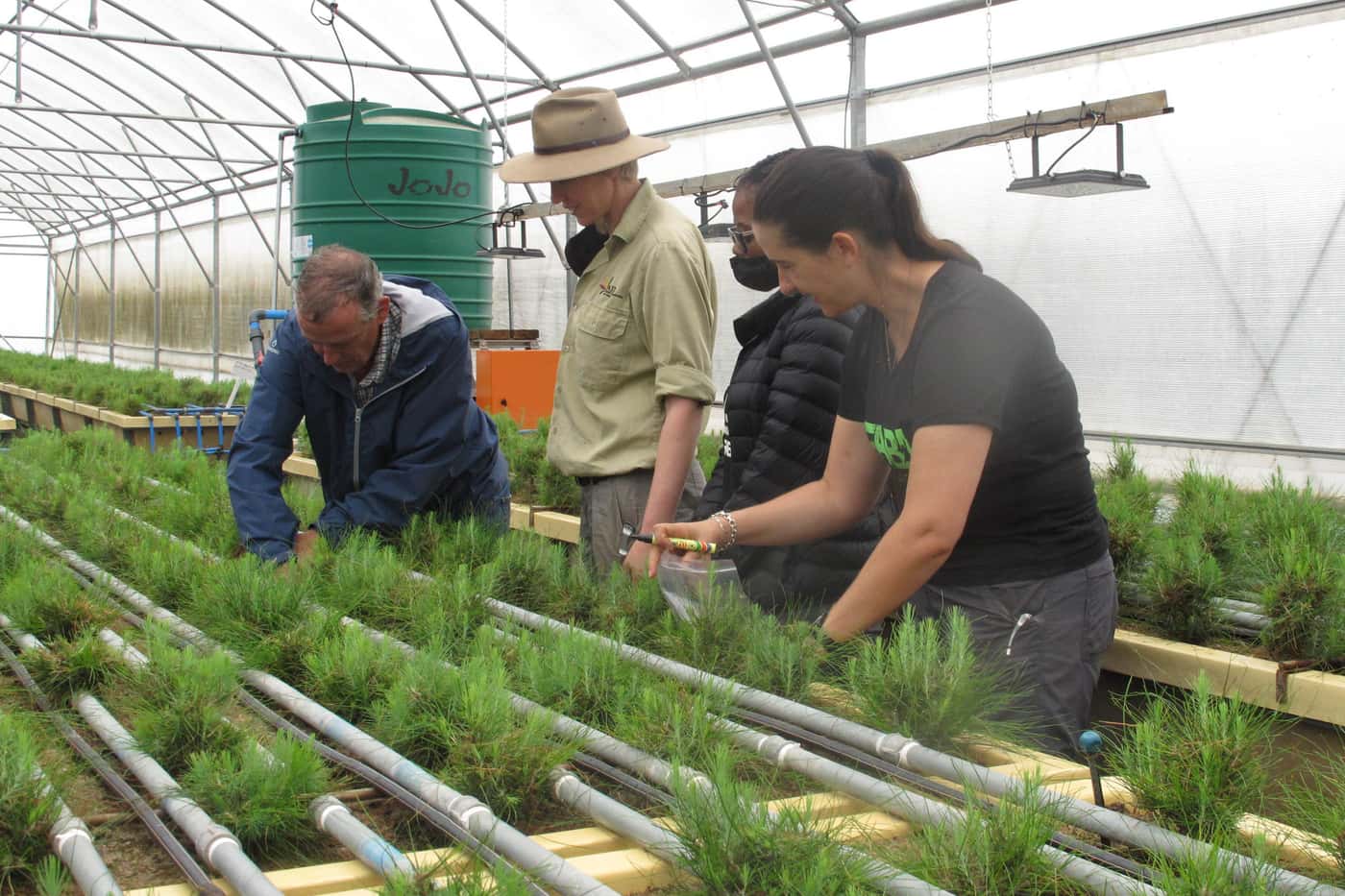 Combined TPCP diagnostic clinic and field extension trip
