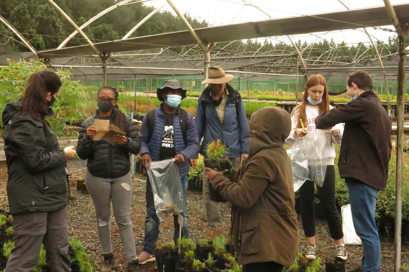 Combined TPCP diagnostic clinic and field extension trip