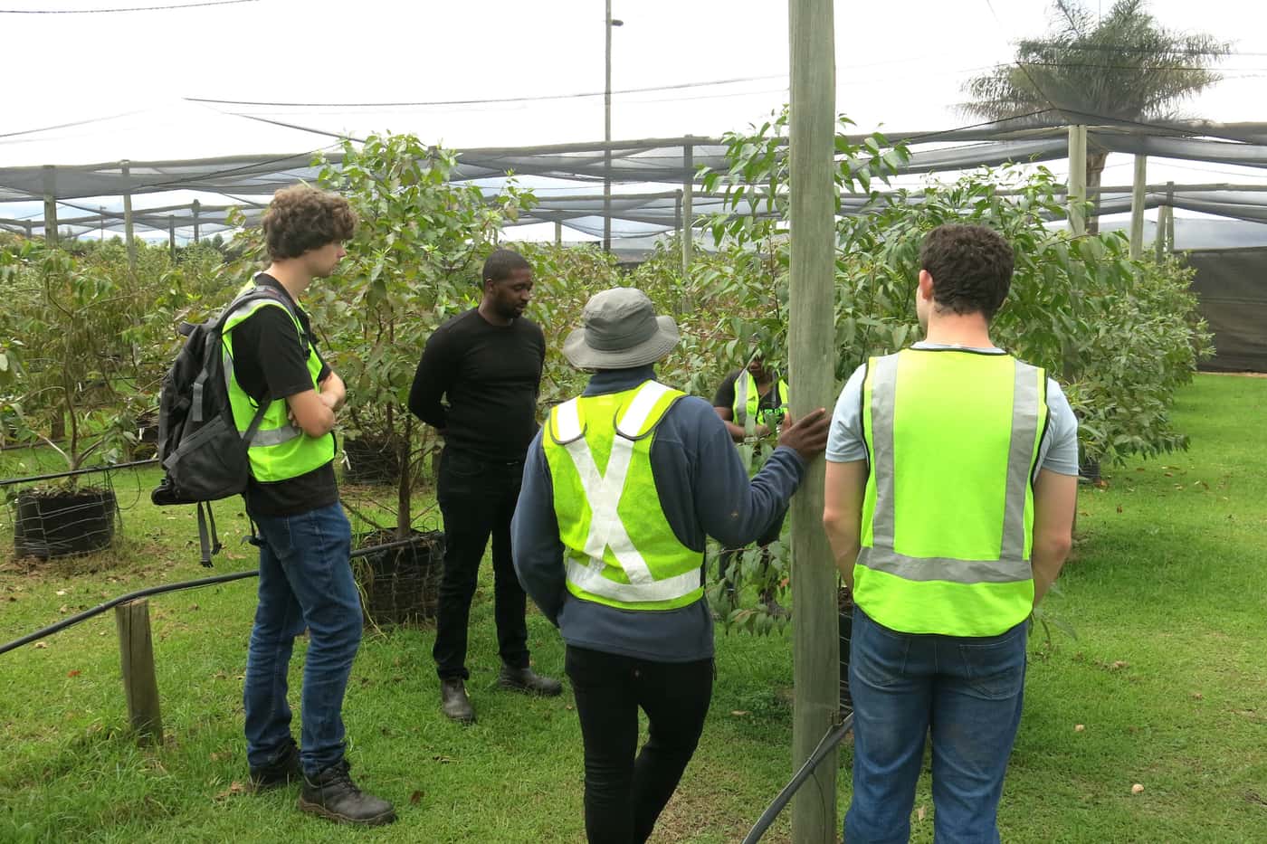 Combined TPCP diagnostic clinic and field extension trip