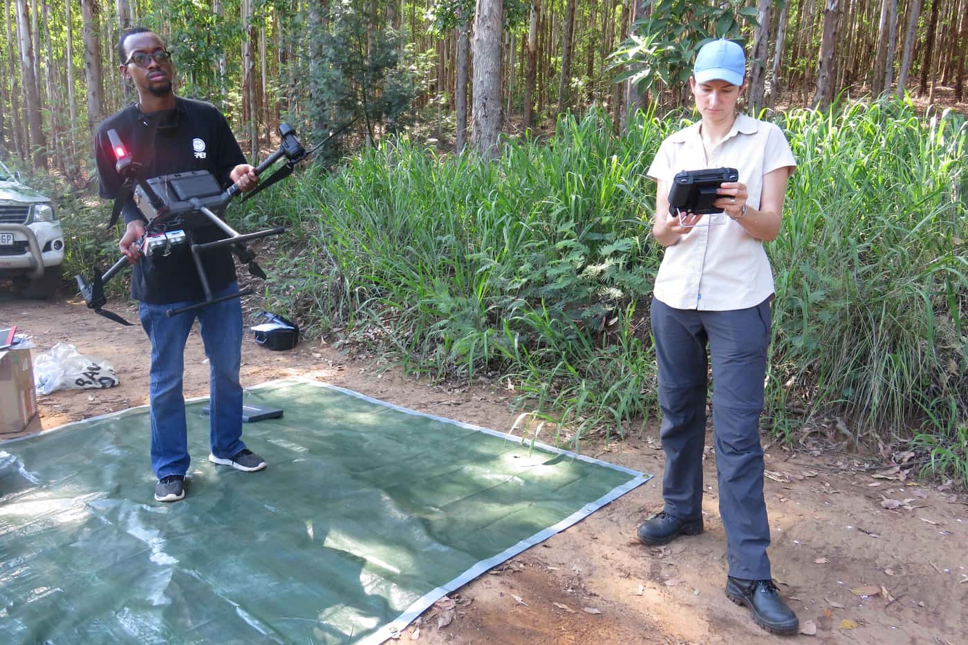 Bird's eye view to monitor the Eucalyptus snout beetle
