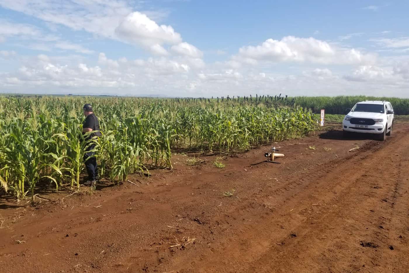 NGRP Team visits CropWatch Africa at Komatipoort