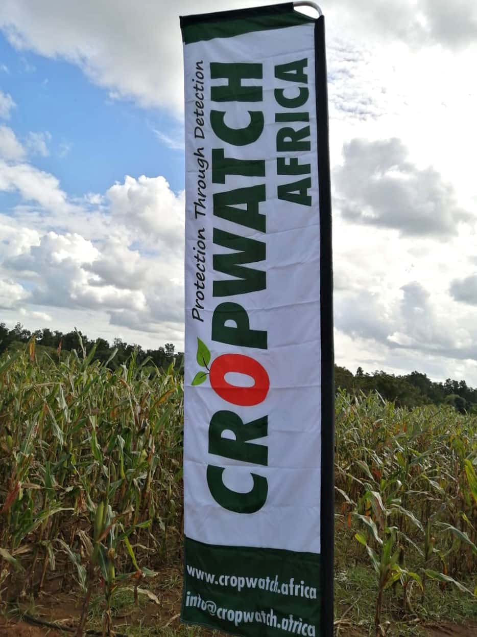 NGRP Team visits CropWatch Africa at Komatipoort