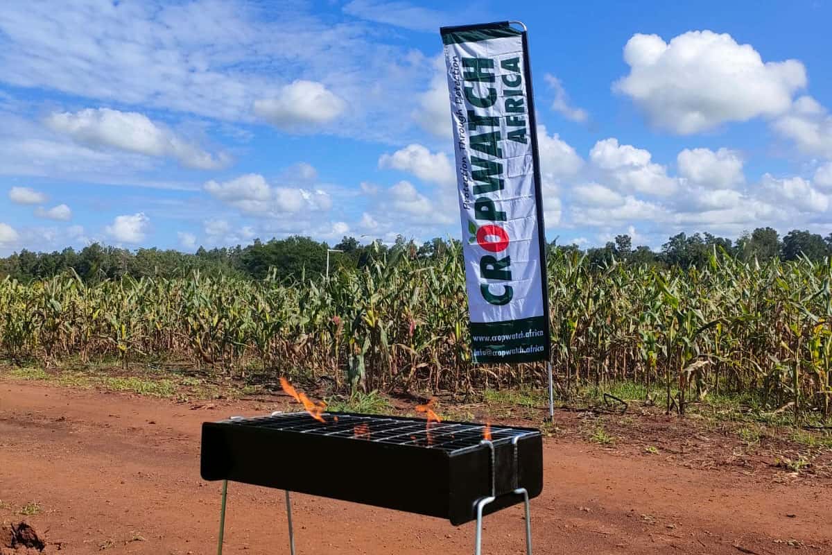 NGRP Team visits CropWatch Africa at Komatipoort