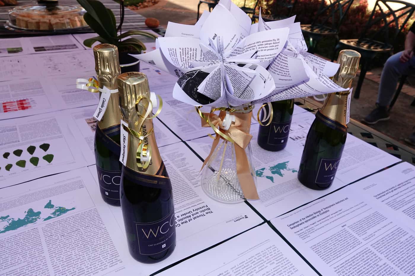Publication Party celebrates first publications
