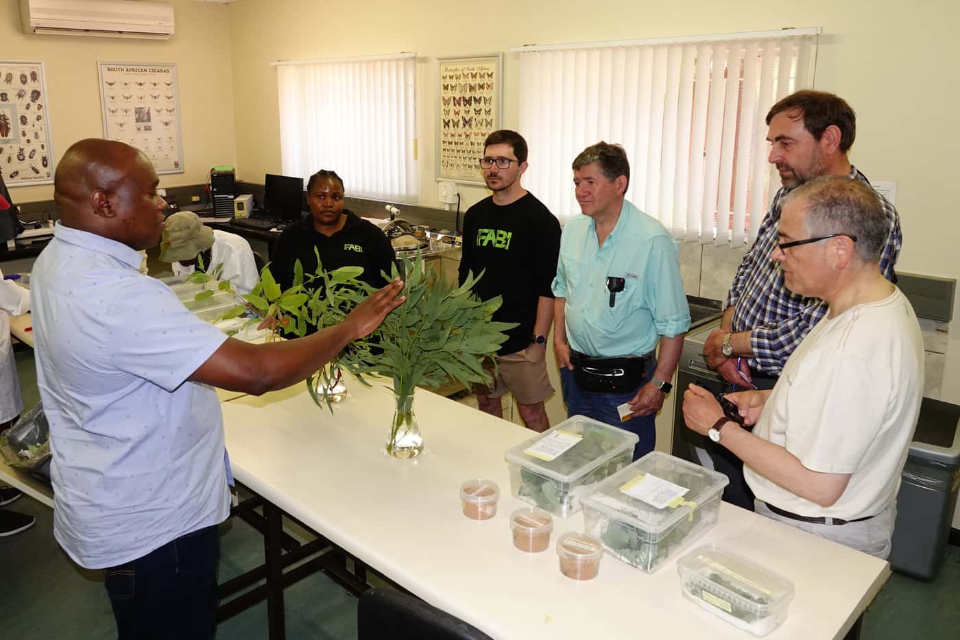 Chilean tree breeders visit FABI