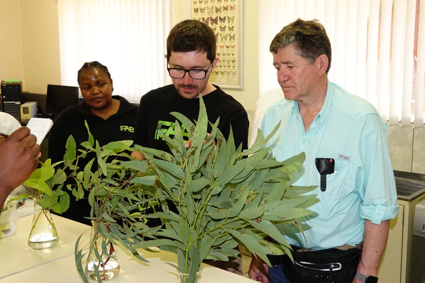 Chilean tree breeders visit FABI