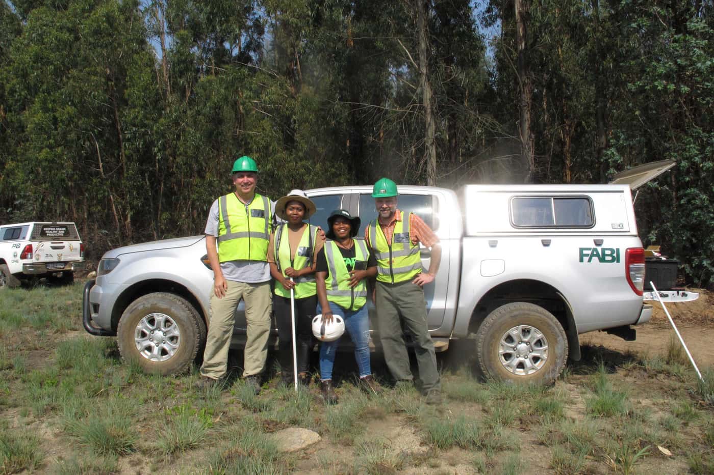 An international team behind a FABI-industry forest pest mating disruption trial