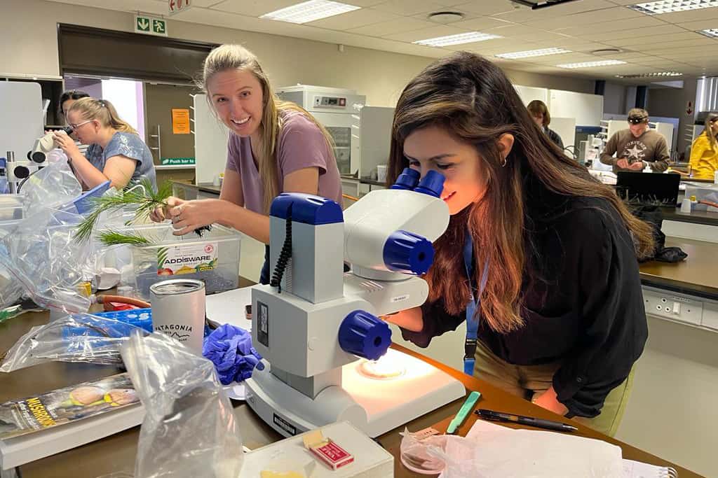Microscopy techniques training for visiting graduate students