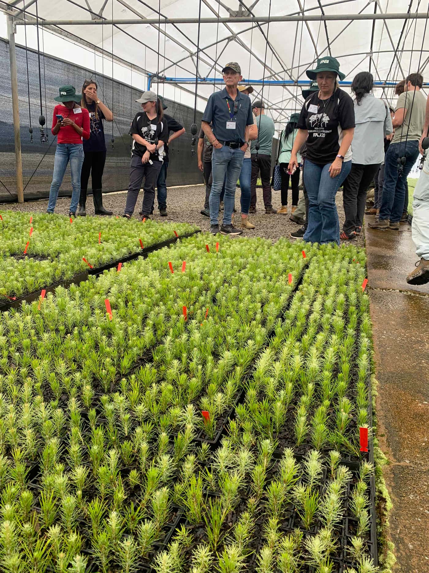 FABI hosts NSF-sponsored “research experience for students” symposium