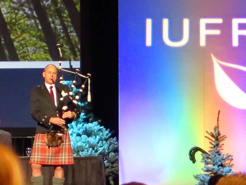 FABI at IUFRO 2014 - 9 October