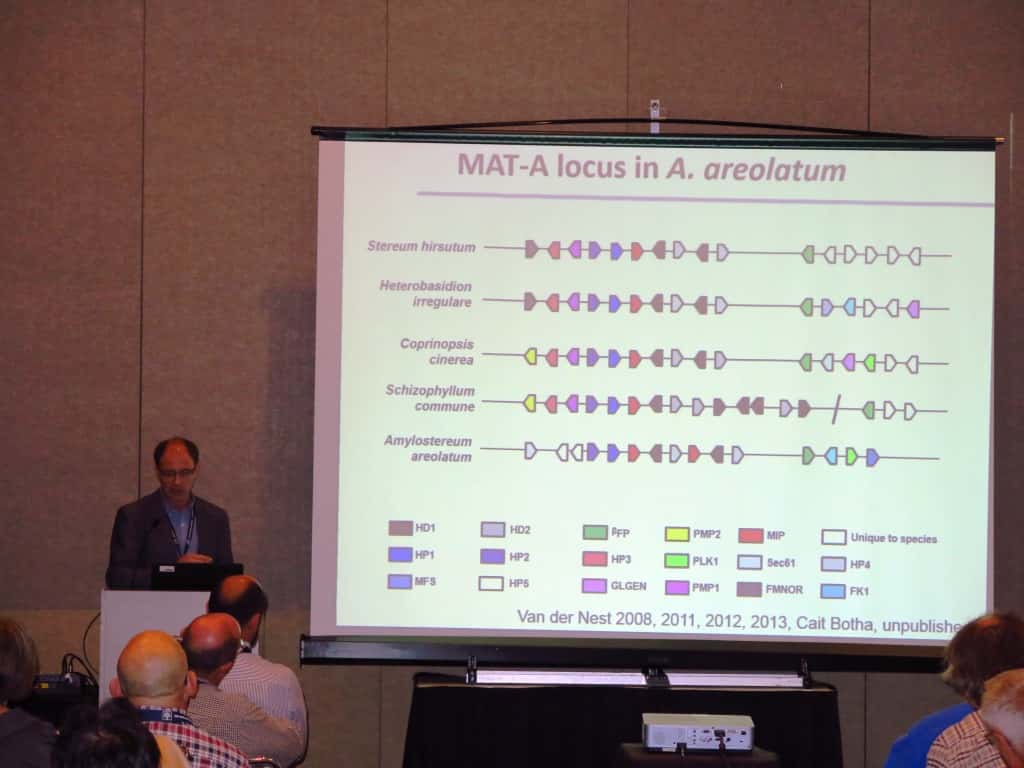 FABI at IUFRO 2014 - 10 October