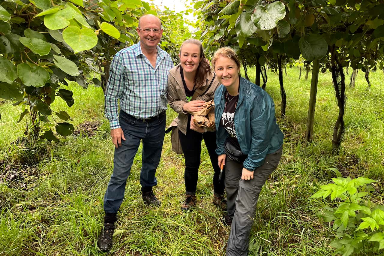Kiwi Plant Protection Programme launched