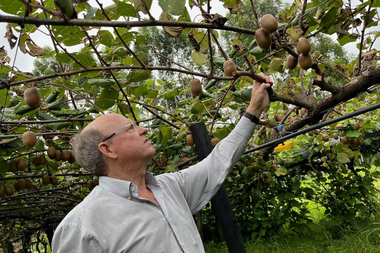 Kiwi Plant Protection Programme launched
