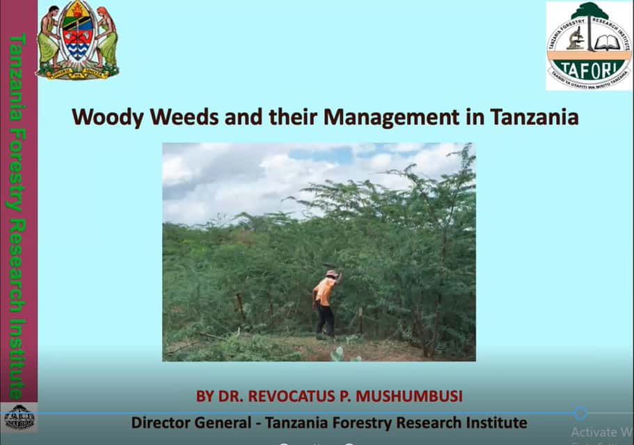 FABI co-hosts a webinar on forest invasive species in Africa